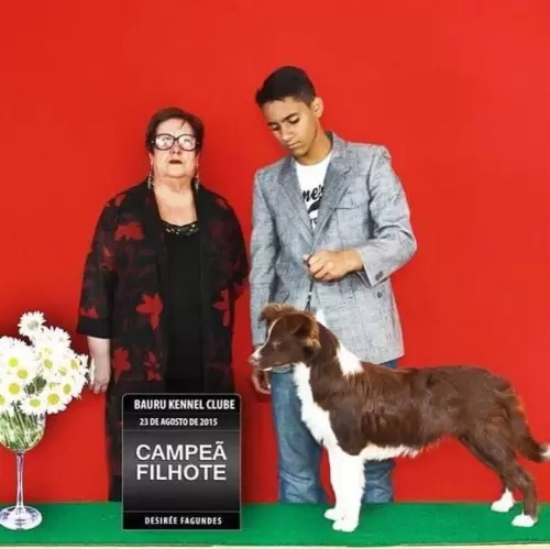Nossos Campeões