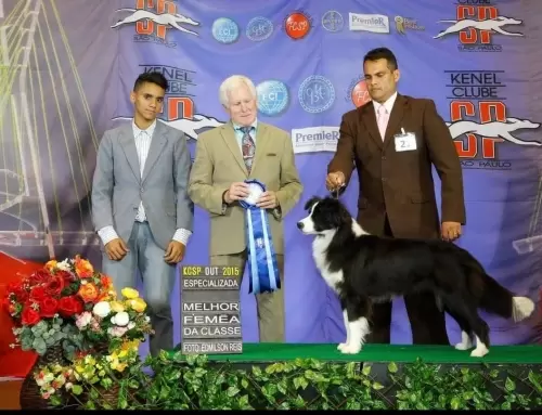 Nossos Campeões