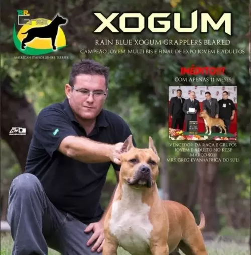 Publicidade e Propaganda