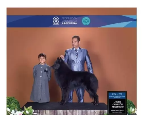 WOLF