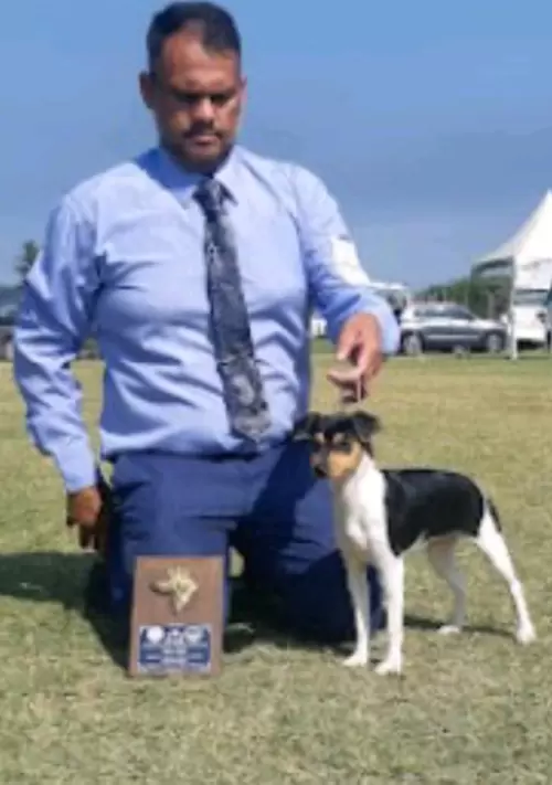 CAMPEÃ MUNDIAL FILHOTE  BR 22 & BISS INICIAL   ESPECIALIZADA KCSP. criação CANIL LORD MANSKE