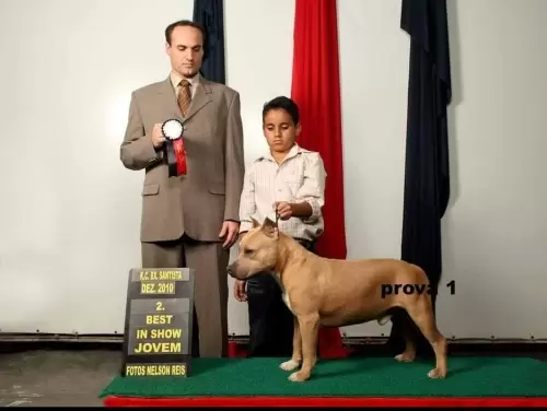 FILHOS EM AÇÃO