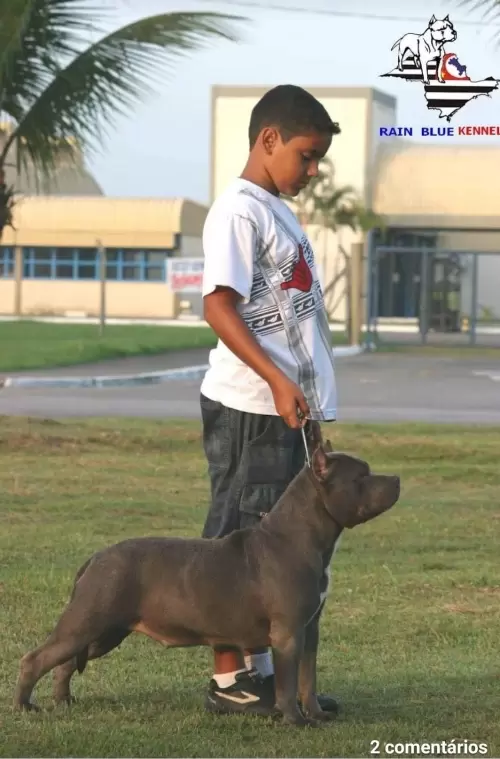 FILHOS EM AÇÃO